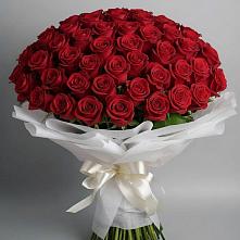 Букет 101 Красная роза Блэк Мэджик в Серове Свердловская область
