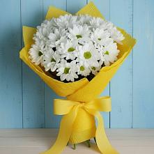 Букет цветов из:  Хризантемы в Серове Свердловская область