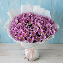 Букет цветов из:  Хризантемы в Серове Свердловская область