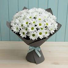 Букет цветов из:  Хризантемы в Серове Свердловская область