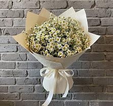 Букет цветов из:  Ромашки в Серове Свердловская область