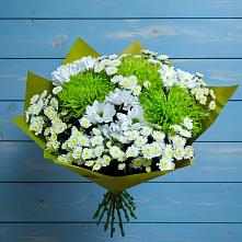 Букет цветов из:  Хризантемы в Серове Свердловская область