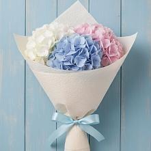 Букет цветов из:  Гортензия в Серове Свердловская область