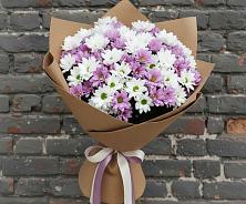 Букет цветов из:  Хризантемы в Серове Свердловская область