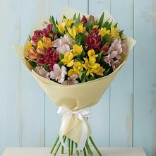 Букет цветов из:  Альстромерии в Серове Свердловская область