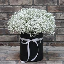 Цветочная композиция из Гипсофила в шляпной коробке в Серове Свердловская область