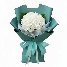 Букет цветов из:  Гортензия в Серове Свердловская область